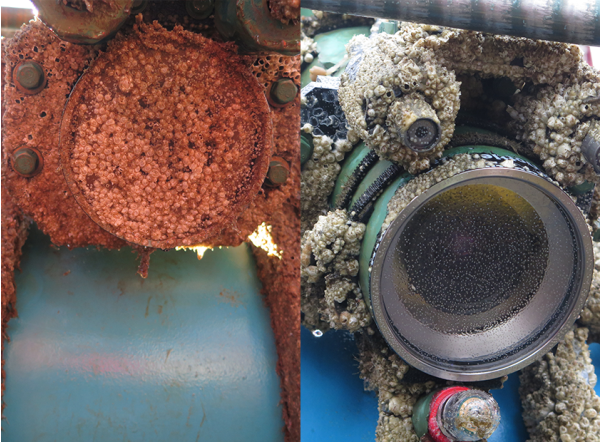 Oregon State University Tests Cabled UV Biofouling Control for Ocean Observatories Initiative