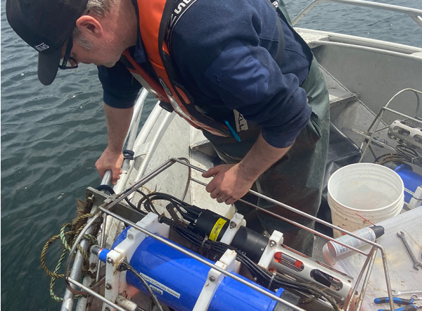 Using Kelp Farms to Help Fish Biodiversity